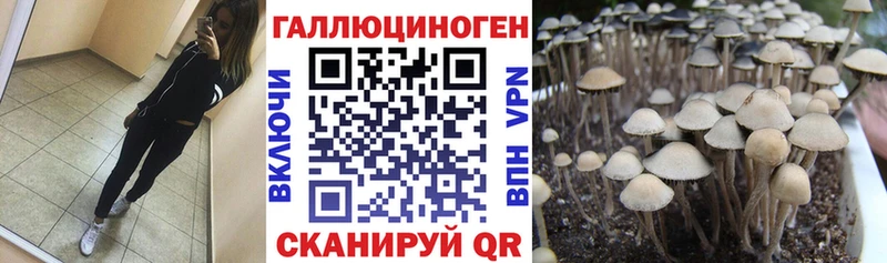 Псилоцибиновые грибы прущие грибы Набережные Челны