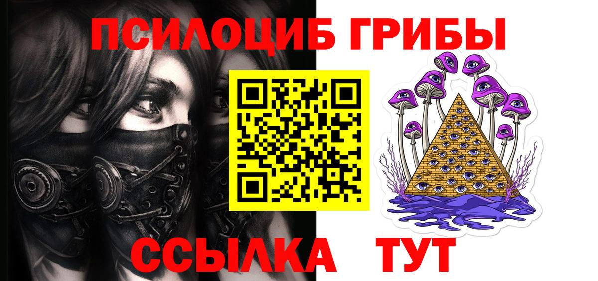 Псилоцибиновые грибы Cubensis Набережные Челны