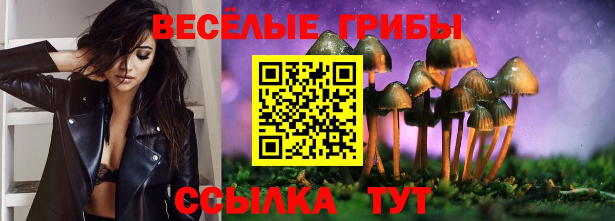 Набережные Челны  Галлюциногенные грибы MAGIC MUSHROOMS  Вход с VPN  Псилоцибиновые грибы Psilocybe 